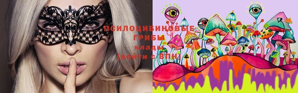 винт Надым