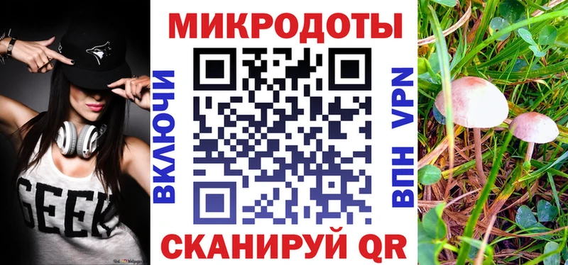 Псилоцибиновые грибы мицелий  Берёзовка 